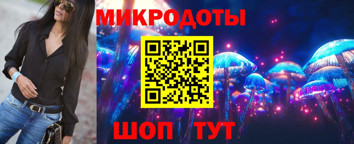 Псилоцибиновые грибы мицелий Апатиты