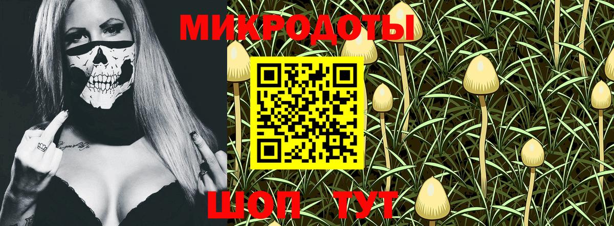 Псилоцибиновые грибы Magic Shrooms  Галлюциногенные грибы ЛСД  Апатиты  купить закладку  Вход с VPN 