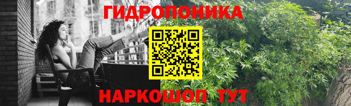 Каннабис AK-47 Апатиты